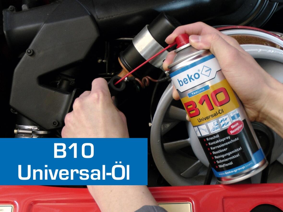 b10-universal-oel